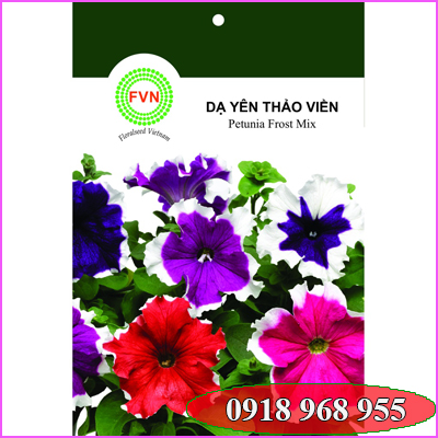 In túi hạt giống| baobigiaphat.vn